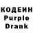 Кодеиновый сироп Lean Purple Drank Sarah Mansour