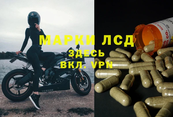 PSILOCYBIN Армянск