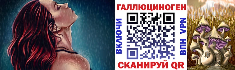 это клад Нестеров Галлюциногенные грибы мухоморы