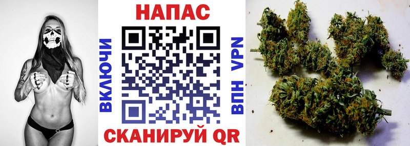 Каннабис сатива Нестеров